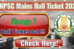 TNPSC Group 1 Mains Hall Ticket 2025